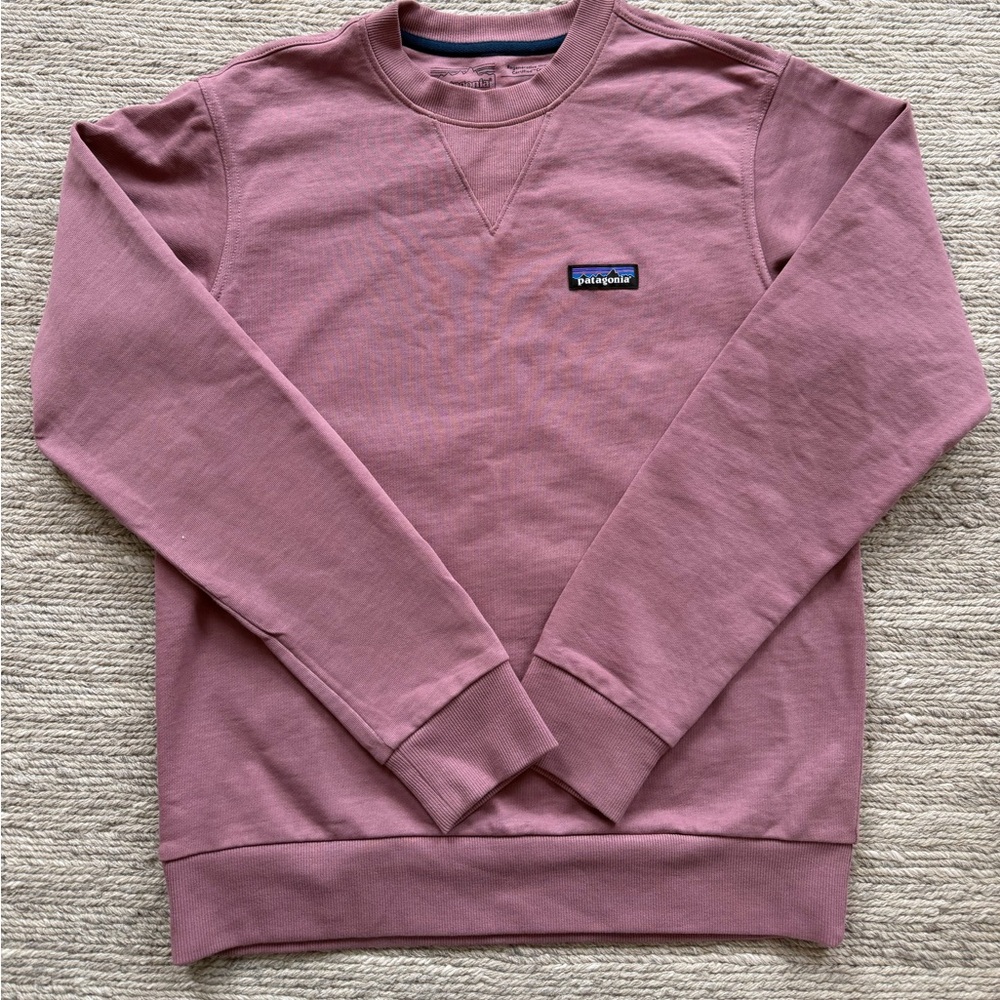 Patagonia Daily Crewneck Sweatshirt XXS Dusty Mauve Pink Athleisure